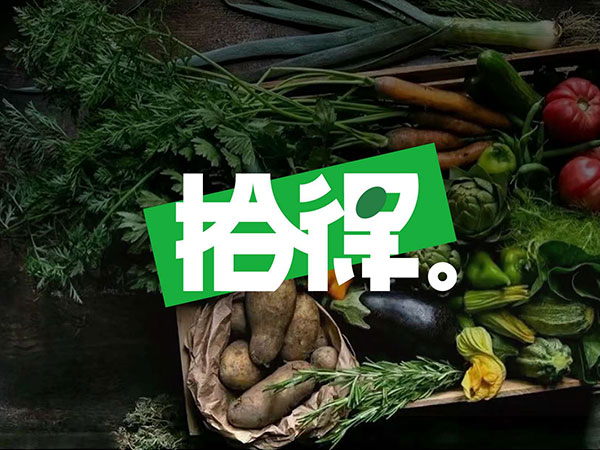 VI设计 (10)