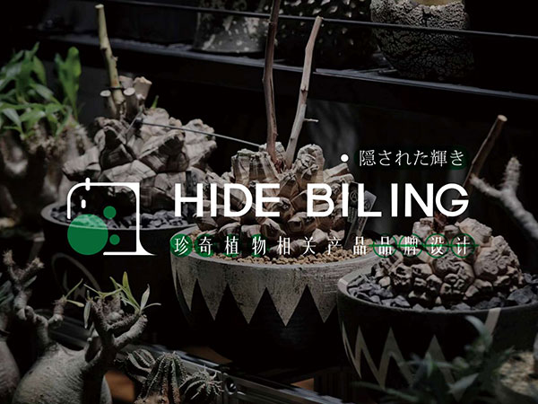 LOGO设计 (7)